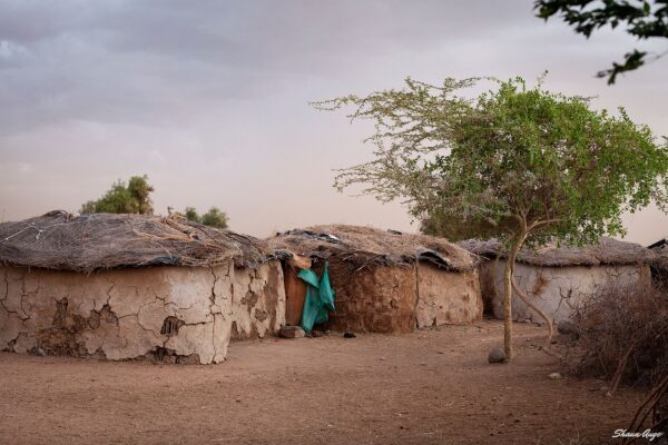 Maasai Villiage